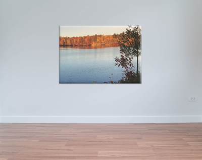 Canvas Print: 36x24